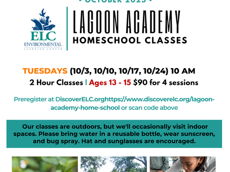 New Program for Teens! Lagoon Academy Homeschool Classes