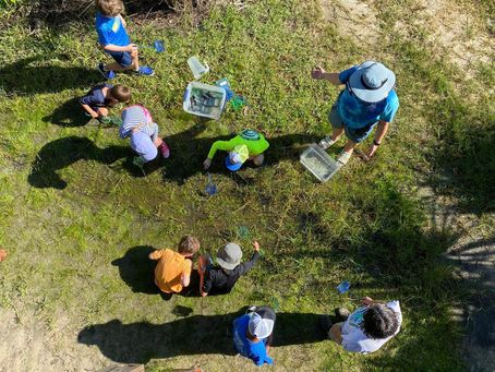 ELC is Hiring a Part-time Environmental Educator!
