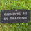 Thumbnail: Black in training leash wrap