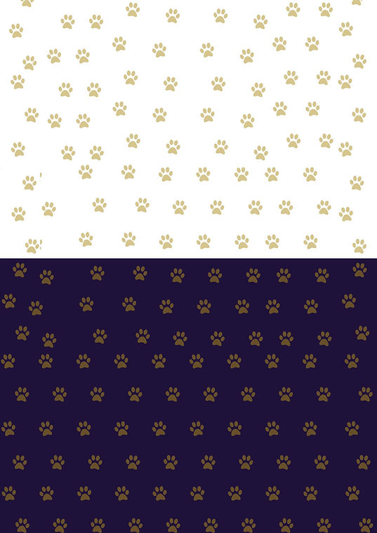 Copy of Poster (1).jpg