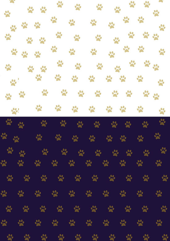 Copy of Poster (1).jpg