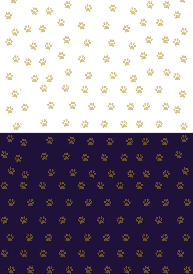 Copy of Poster (1).jpg