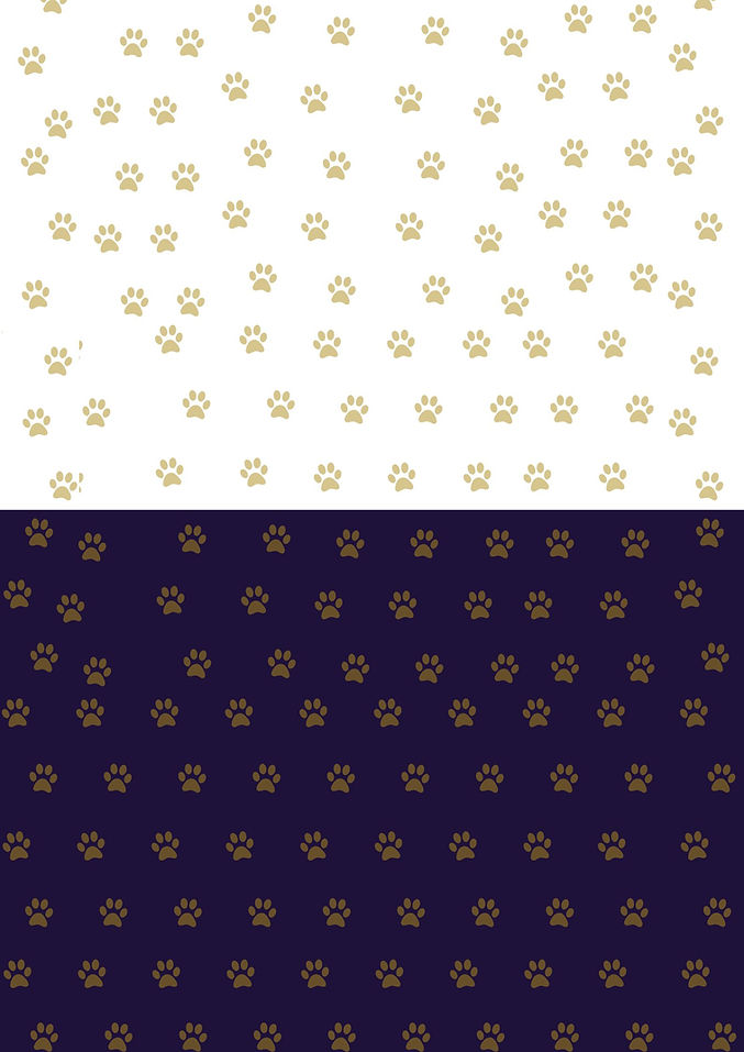 Copy of Poster (1).jpg