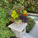 IMG_4780.jpeg