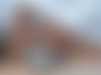 Georgian receives $500,000 to inspire a new generation for the automotive electrification industry