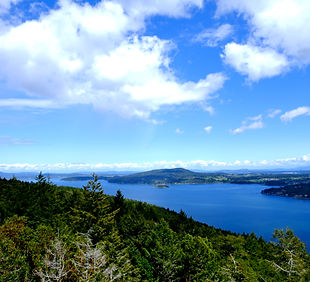 DSCF1195_edited.jpg