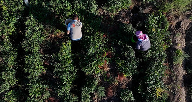 solar system.00_01_31_23.Still003.jpg