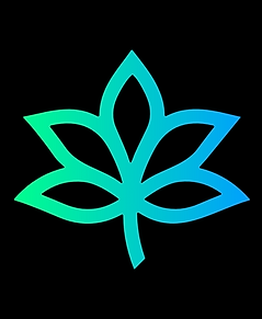 Social_Profile_Mirko-2.png