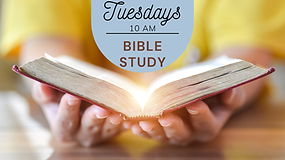 Bible Study