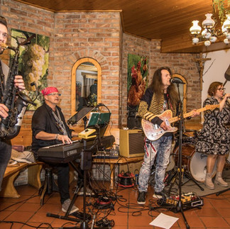 Live-Konzert vom Kulturzirkel in Brunn am Gebirge – Die Weinbergmusikanten auf der Bühne im Weingut Niegl. Publikum genießt die Musik in stimmungsvoller Atmosphäre.