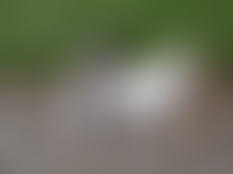 Pentukyselyistä – pieni kurkistus kulissien taakse