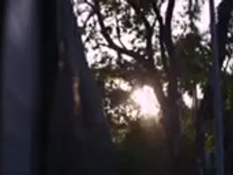 Desert Island Media Clip.