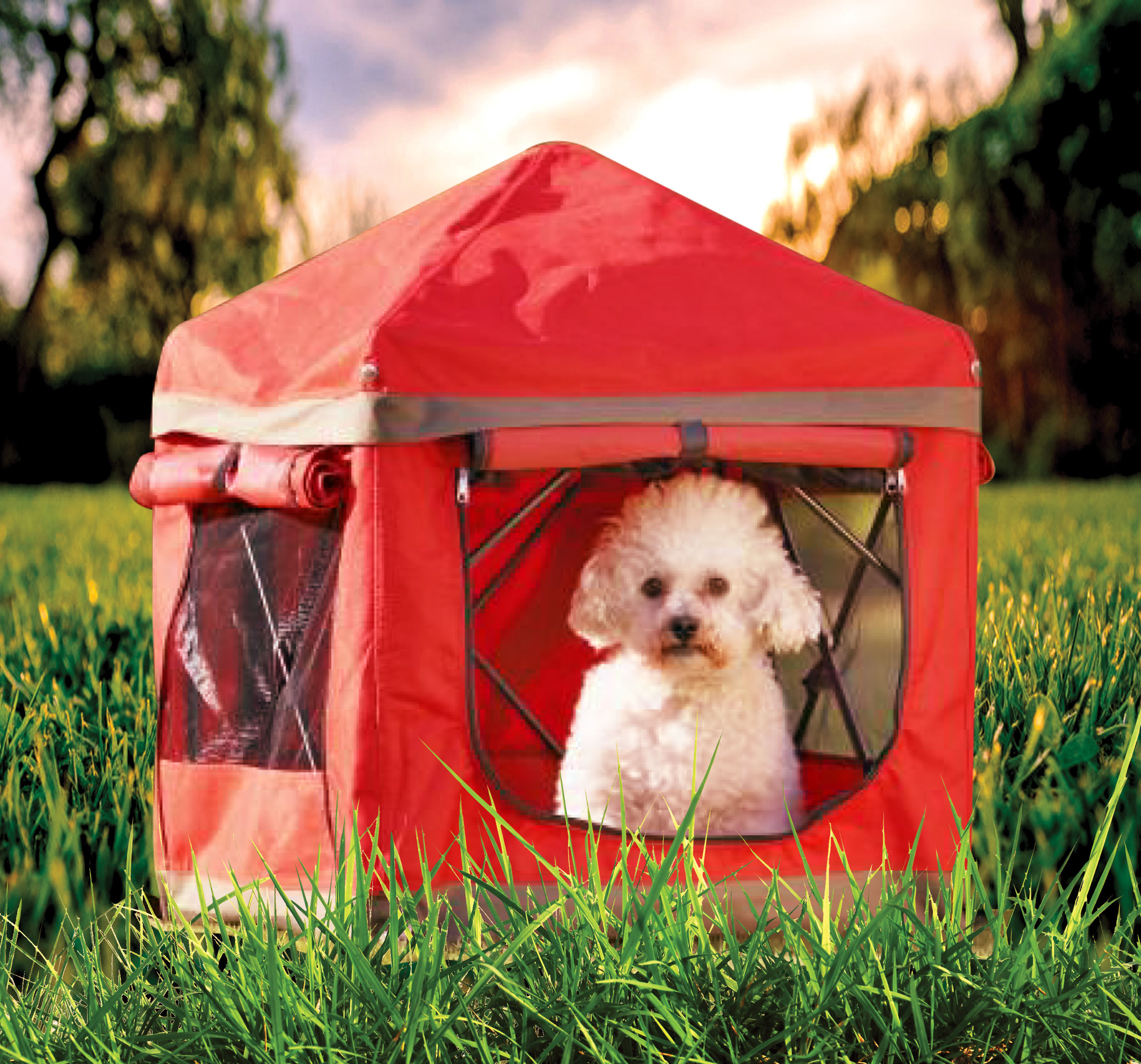 Dog Kennel