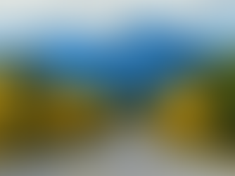 How to Identify and Avoid Unauthorized Immigration Agents in Canada