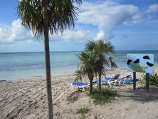 CocoCay, het privé eiland van Royal Caribbean