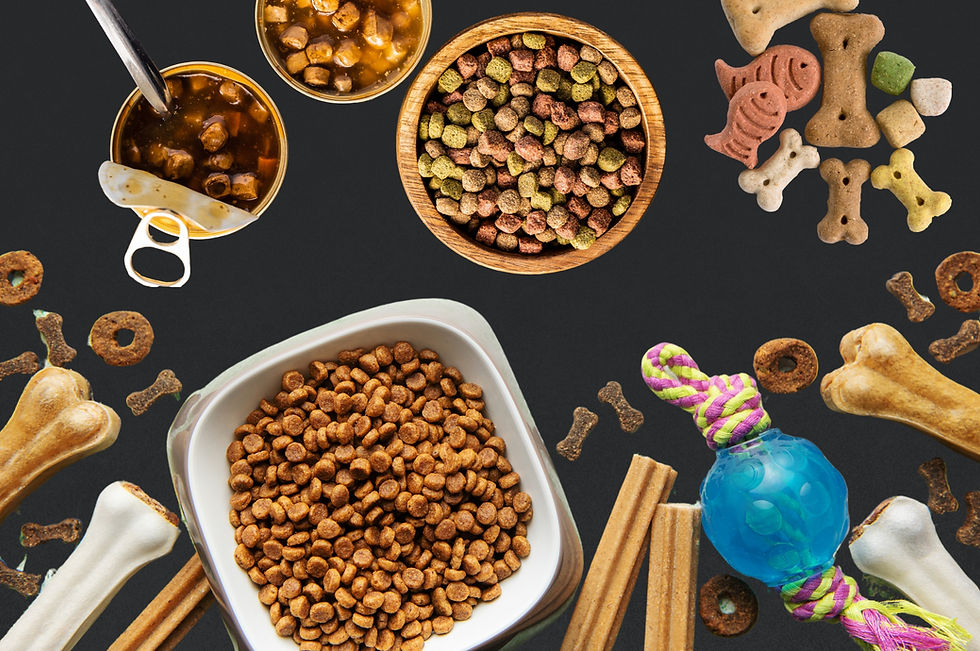 PDC Wholesale – Pet Food products including dry kibble, canned meals, dog treats, and chew toys arranged for wholesale distribution.