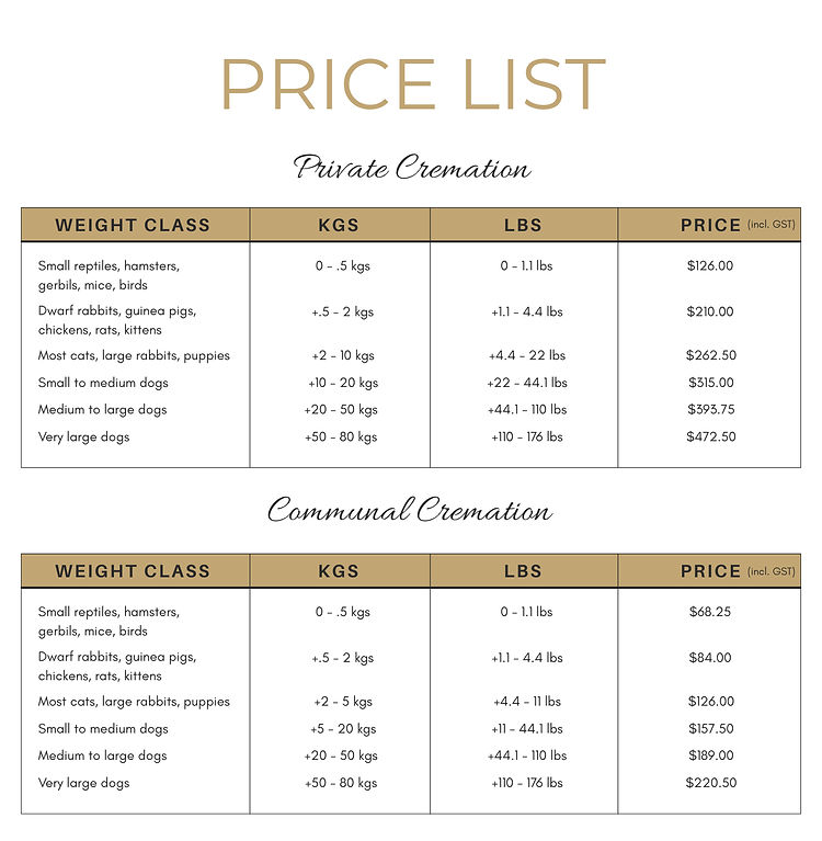 Stardust Price List (2)_edited.jpg