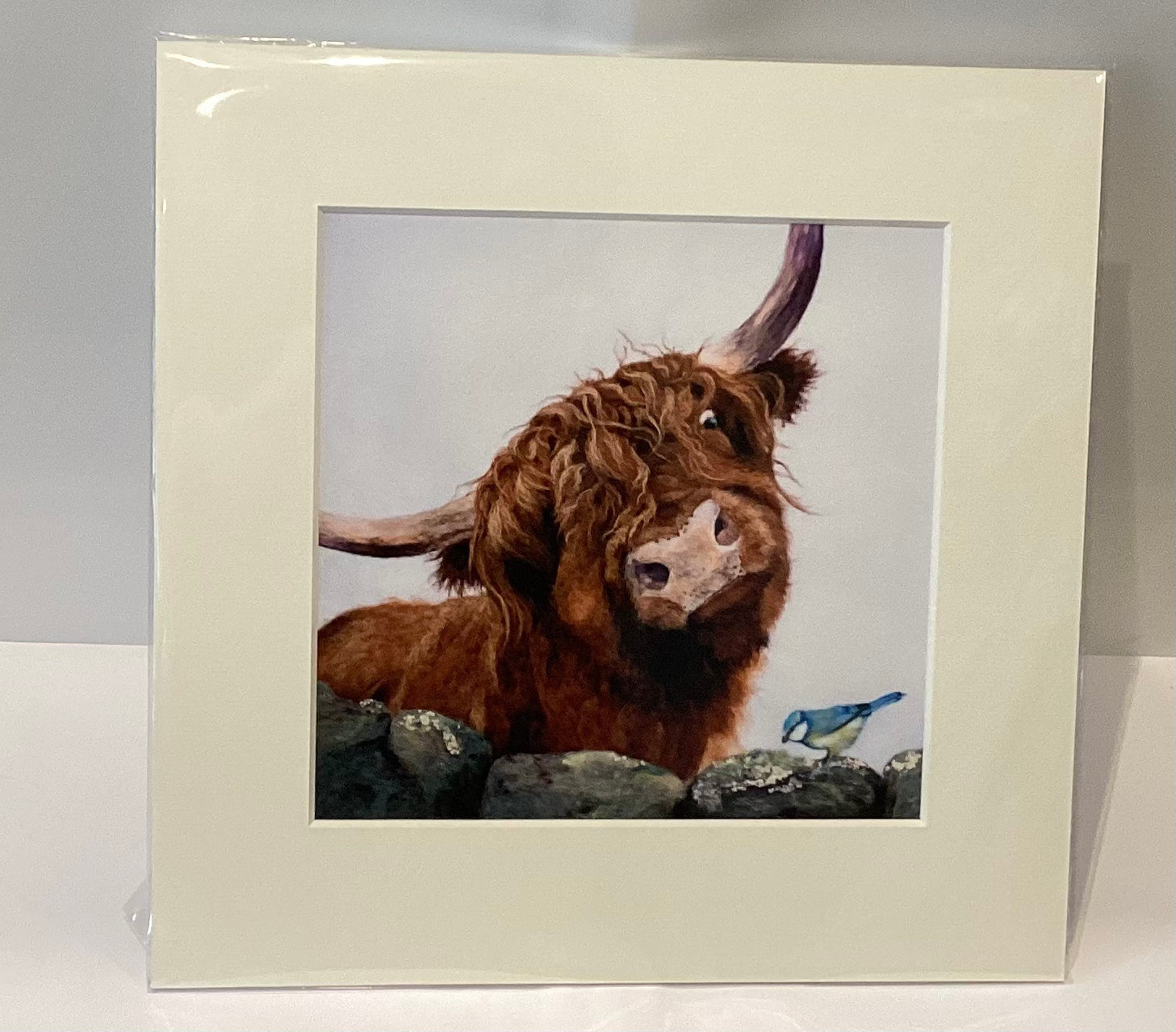 K Price “ Highland Cow and Blue Tit” Large Print