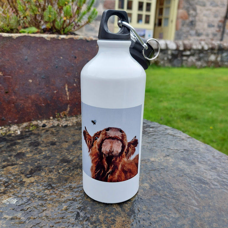 K Price Art Bee Friends Highland Cow Water Bottle
