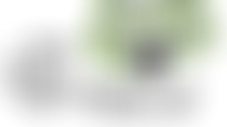 Мы организовываем Фестиваль бумажной флористики