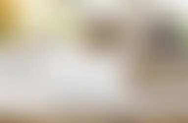 Zelená strecha a jej prínosy pre udržateľnosť a kvalitu života v meste