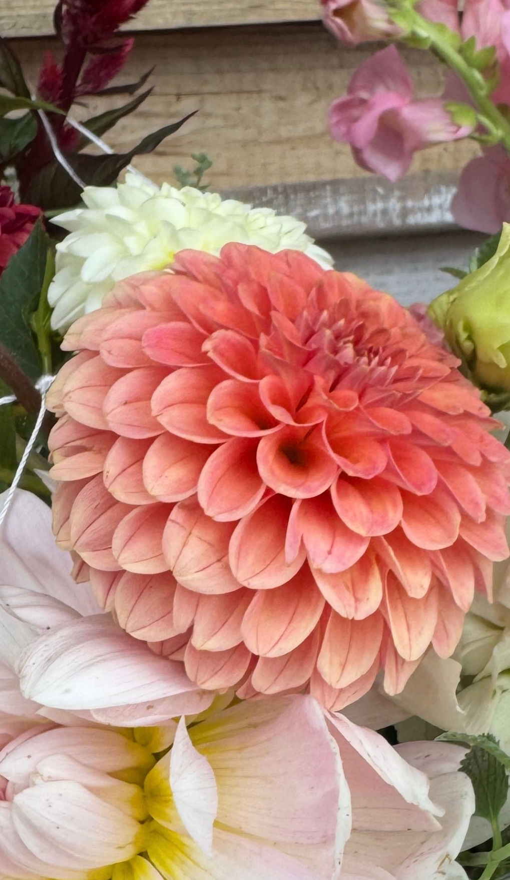 Stephanie's Choice "Best Wedding Package"