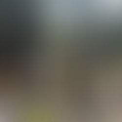 Forestry Crew in Nova Scotia