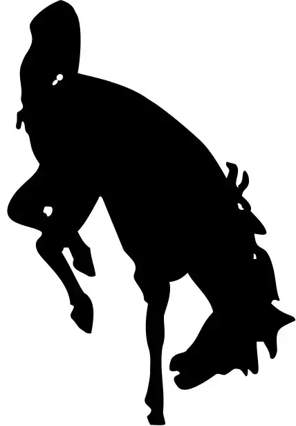Jackson Hole High School logo.
