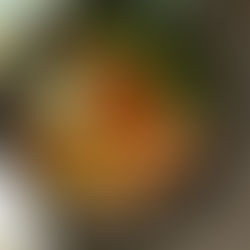 Oběd z jednoho pekáče