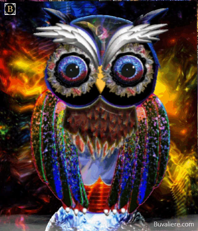 NFT, Wise Owl Set, Buvaliere.com