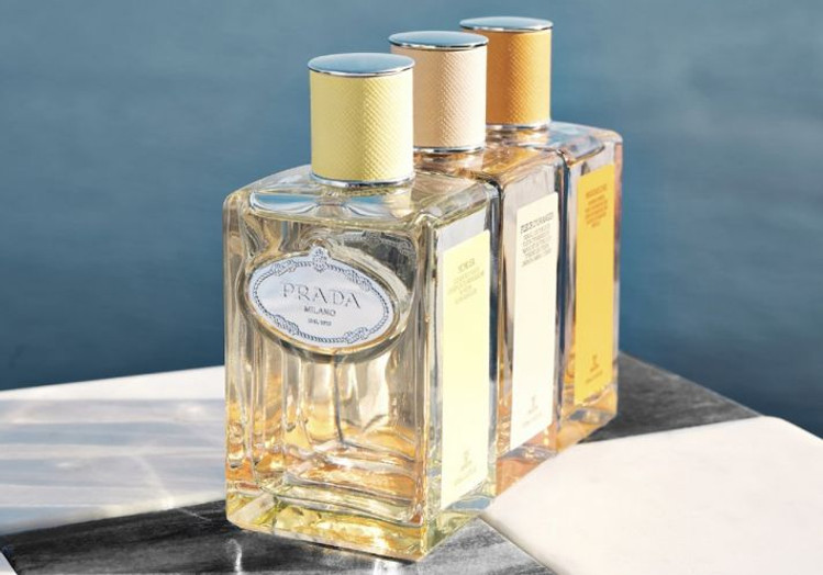 les-infusion-prada-mimosa-fleur-doranger-mandarine-prada.jpg