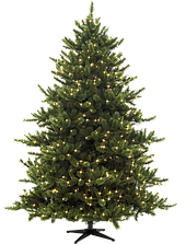 Christmas Pine Tree