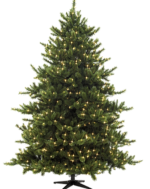 Christmas Pine Tree