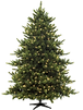 Christmas Pine Tree