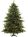 Christmas Pine Tree