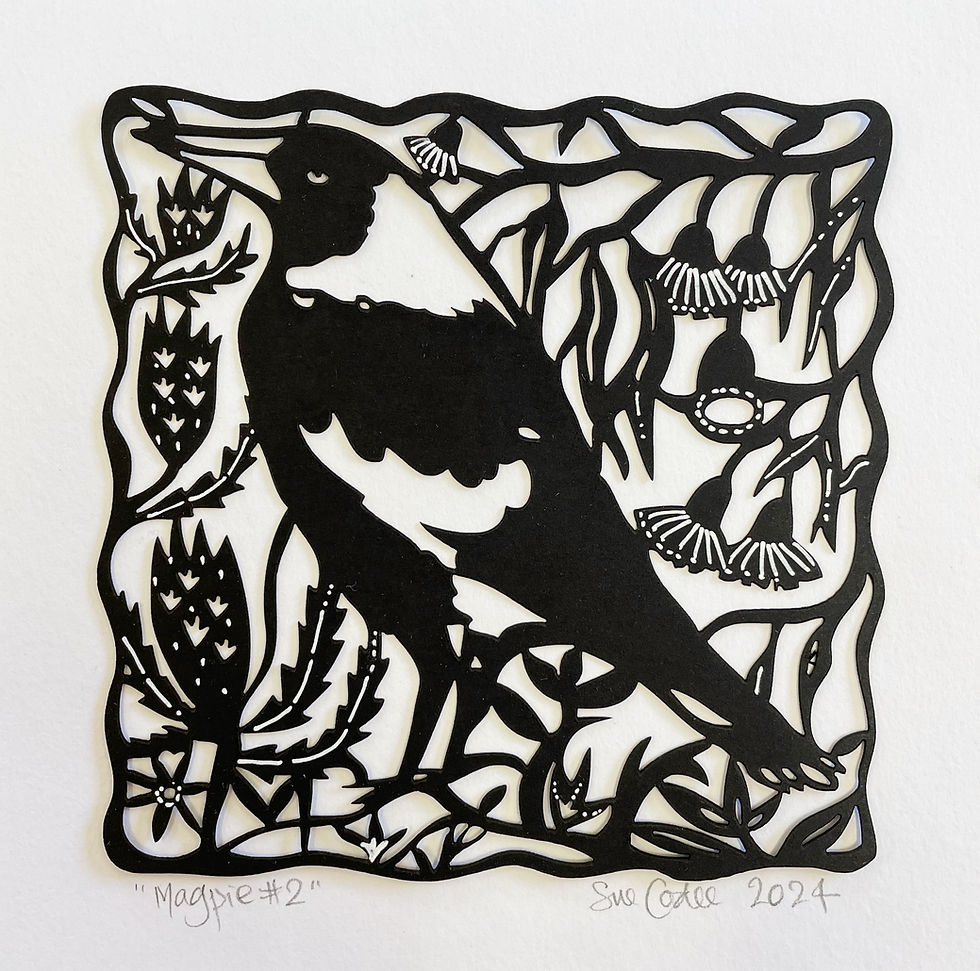 Thumbnail: "Magpie with Grevillea" framed papercut