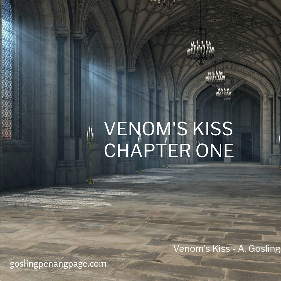 Historical Love Story in Tudor Times