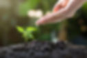 soil-8080788_1920.jpg