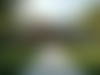 Exclusive Opportunities in High-End Real Estate Markets