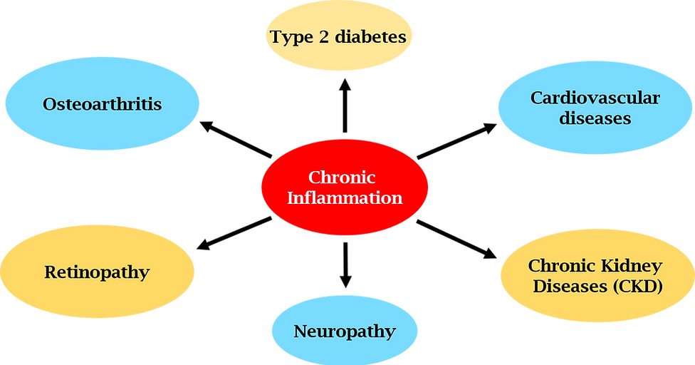 Chronic inflammation is the root cause of type 2 diabetes, cardiovascular diseases, chronic kidney disease, retinopathy, and osteoarthritis.