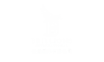 brillions logo no bg.png
