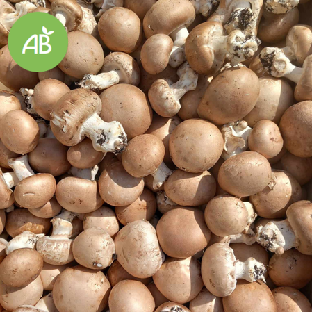 Champignon de Paris brun - 250G