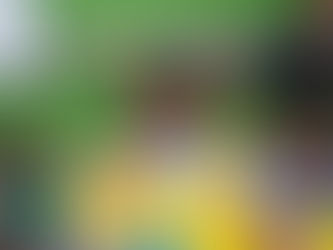 FOTOS ADAPTACIÓ GRUP 1