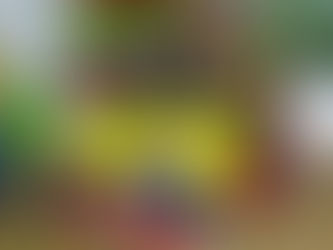 ENS VISITA LA CASTANYERA