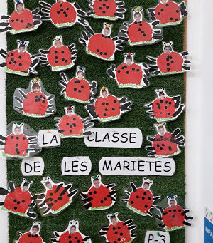 POSEM LES TAQUES A LES MARIETES