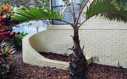 Cleaned brick wall and landscaped area after professional pressure washing service.