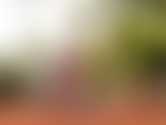 Guia Completo: A Faculdade EAD Cruzeiro do Sul é boa? Saiba como funciona!