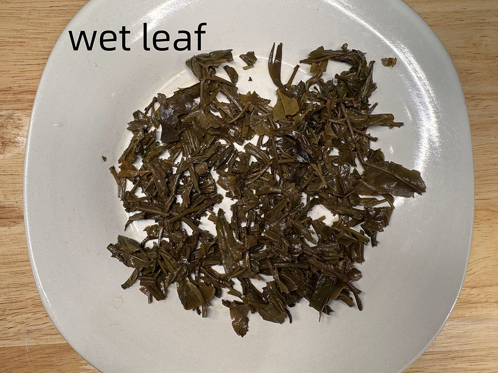 wet leaf