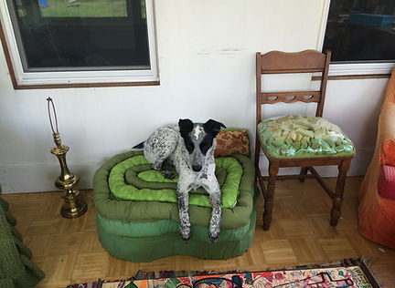 IMG_1872.jpeg