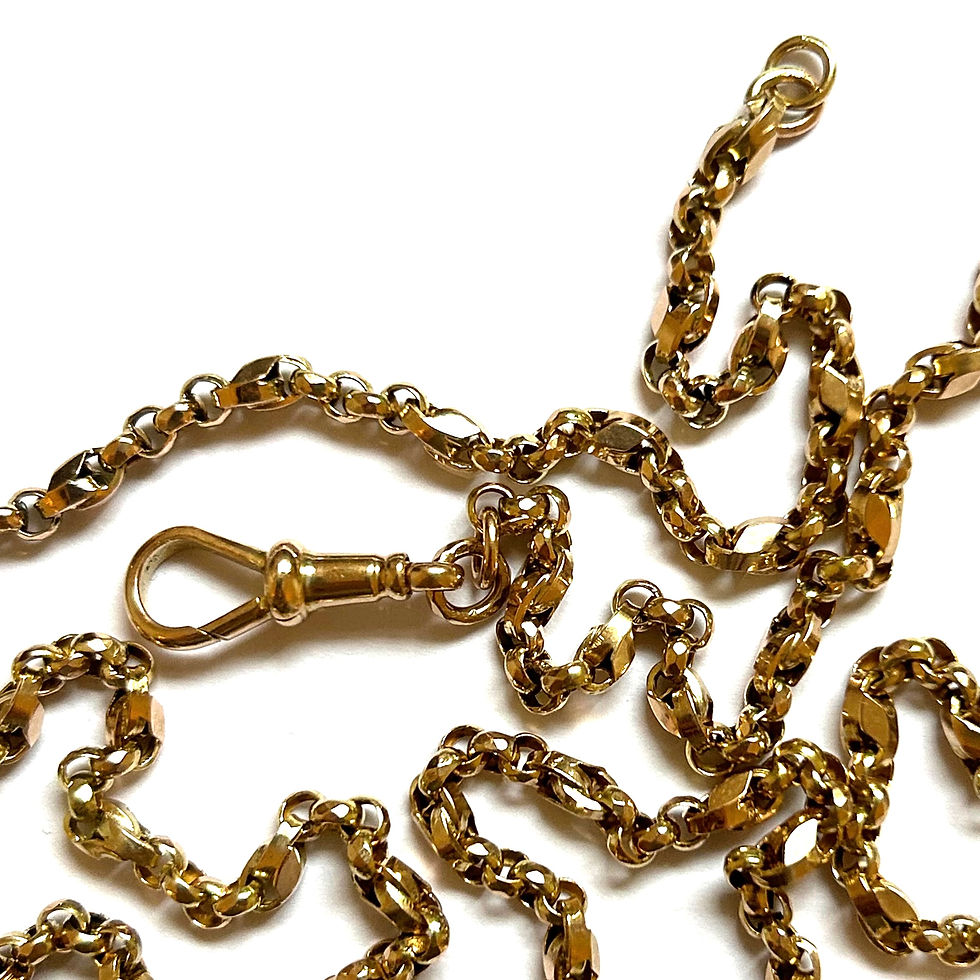 Thumbnail: Excellent mixed link guard chain with dog clip